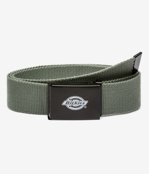 Dickies Orcutt Gürtel (sea spray)