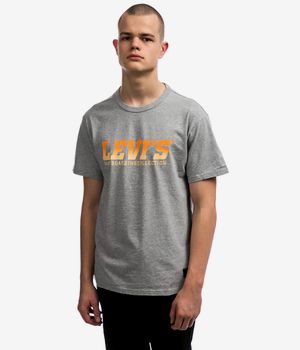 Levi's Skate Graphic T-Shirt (heather grey)