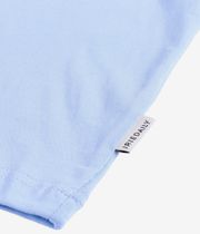 Iriedaily Mini Flag Relaxed Camiseta (sky blue)