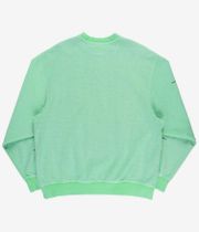 Vans Skate Splat Sweatshirt (cacti green)