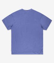 Iriedaily Mini Flag Relaxed T-Shirty (dove blue)