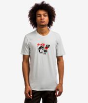 Nike SB Dry BBQ Fish T-Shirt (barely green black)