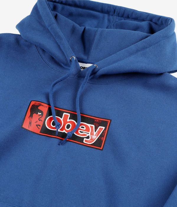 Obey Half Icon Hoodie (limoges)