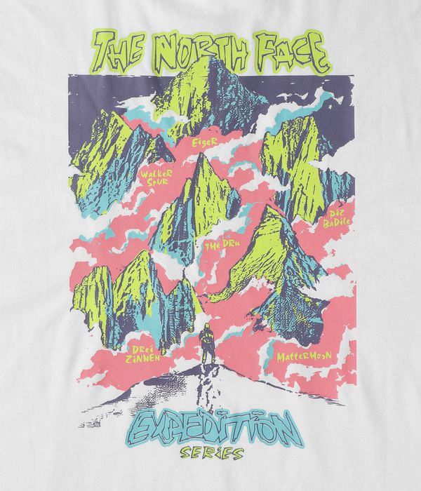 The North Face Expedition Celebration Oversized T-Shirt (tnf white)