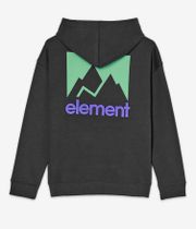 Element Joint Hoodie kids (off black 263)