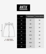 Antix Atlas Shorts (used black)
