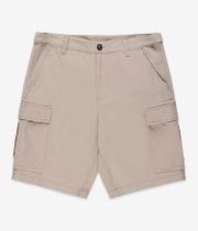 Element Legion Shorts (aluminum)