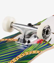 DGK Vacation 7.75" Complete-Skateboard (multi)