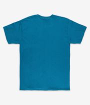 Thrasher Flame T-Shirt (galapagos)