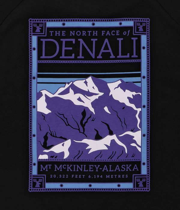 The North Face North Faces T-Shirty (tnf black)