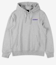Element Swamps sweat à capuche (mid grey heather)