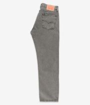 Levi's 555 Relaxed Straight Jeans (coast agave od)