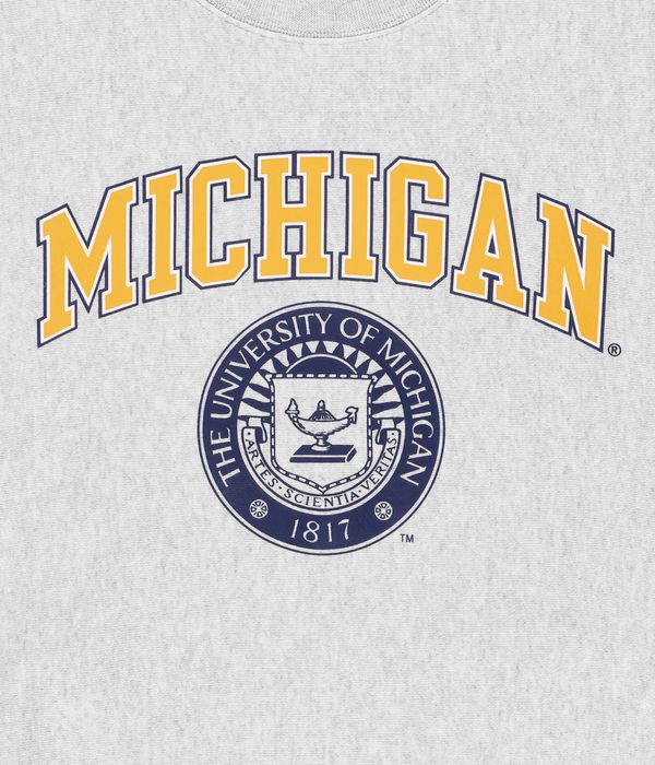 Champion college hotsell sweatshirts quiz
