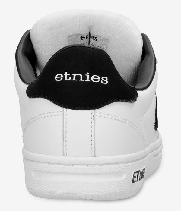 Etnies Locut Schoen (white black white)