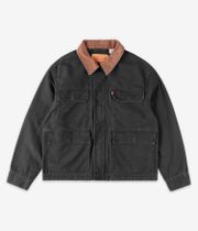 Levi's East Port Veste (meteorite)