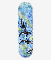 GX1000 Greene Killer Whale 8.5" Skateboard Deck (multi)
