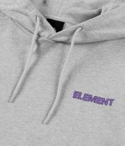 Element Swamps sweat à capuche (mid grey heather)