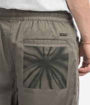 Volcom Featured Artist Zephyr EW Pants (wintermoss)