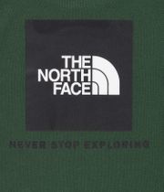 The North Face Raglan Redbox Sweatshirt (pine needle)