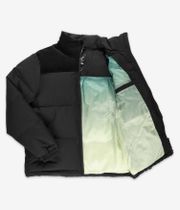 Iriedaily Geocatch Puffer Giacca (black)