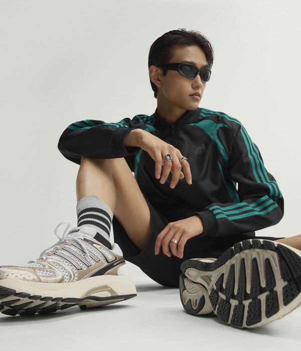 adidas Skateboarding Adistar Control 5 Schuh (white grey chamet)