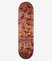 Anti Hero B.A. Dawn Of The Pigeon Shaped 8.8" Tavola da skateboard (multi)