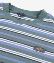 Dickies Glade Spring T-Shirty (stripe coronet)