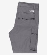 The North Face Anticline Cargo Shorts (smo)