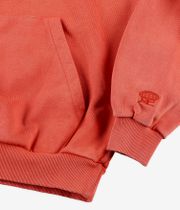 Butter Goods Basic Hoodie (washed blood orange)