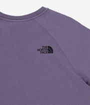 The North Face Raglan Redbox Camiseta (lunar slate)