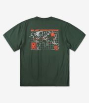 DGK Global T-Shirt (forest green)