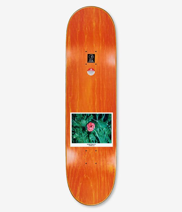 Polar Nick Boserio Amaryllis Wheel Wells 8.5" Planche de skateboard (multi)
