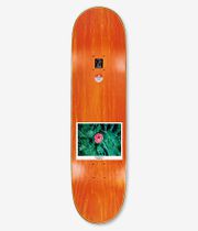 Polar Nick Boserio Amaryllis Wheel Wells 8.5" Skateboard Deck (multi)