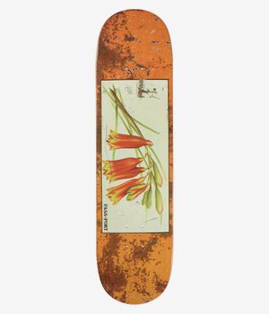 Passport Tin Floral Bells 8" Planche de skateboard (multi)