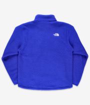 The North Face Fleeski 1/4-Zip Sweatshirt (tnf blue)