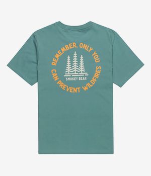 Element x Smokey Bear Remember T-Shirt (trellis)