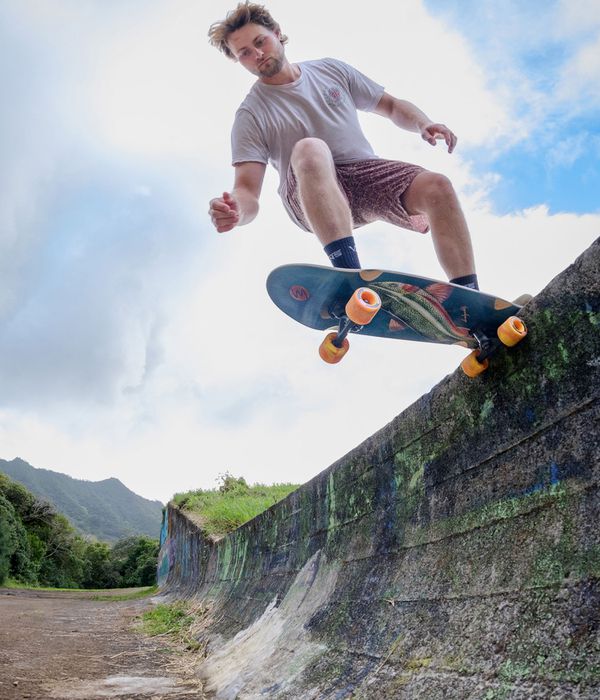 Landyachtz Raft 32.5" (82.5cm) Cruiser (trought)