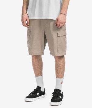 Element Legion Shorts (aluminum)
