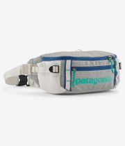 Patagonia Black Hole Waist Tasche 5L (birch white)