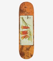 Passport Tin Floral Bells 8" Skateboard Deck (multi)