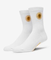 Antix Sol Socks US 6-13 (white)