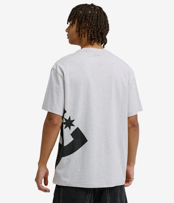 DC Lanai T-Shirt (light heather grey)