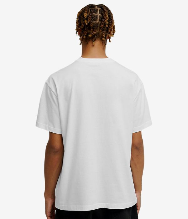 DC Painted Van T-Shirt (white)