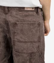 Element Carpenter Canvas Pants (bracken)
