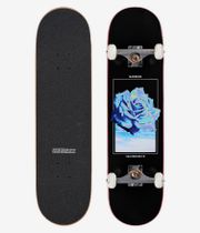 skatedeluxe Rose 8.125" Complete-Skateboard (black)
