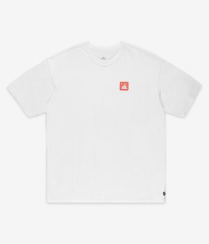 Nike SB Sustainability T-Shirty (white)