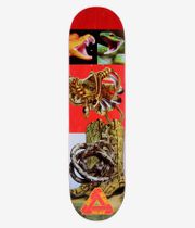 PALACE Rory Pro S43 8.06" Planche de skateboard (multi)
