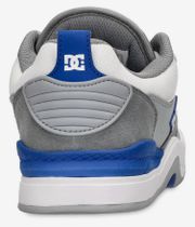 DC Ascend Shoes (white grey blue)