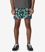 Patagonia Baggies 5" Shorts (kaleido black)