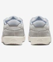 Nike SB Force 58 Chaussure (white ashedn slate sail wolf gre)